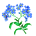 forgetmenot.gif (791 bytes)