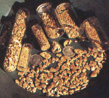 marciegold.JPG (24971 bytes)