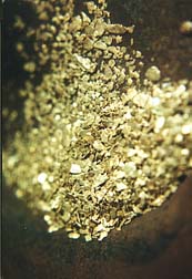49gold1.jpg (13796 bytes)