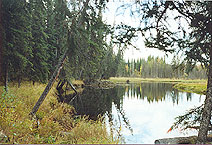 m_huntingcamp.JPG (27226 bytes)