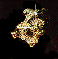 nugget.gif (6367 bytes)